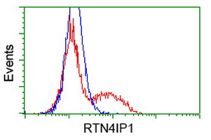 HEK293T cells transfected with either overexpress plasmid (Red) or empty vector control plasmid (Blue) were immunostained by anti-RTN4IP1 antibody, and then analyzed by flow cytometry.