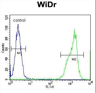 RT4I1 Antibody flow cytometry of WiDr cells (right histogram) compared to a negative control cell (left histogram). FITC-conjugated goat-anti-rabbit secondary antibodies were used for the analysis.