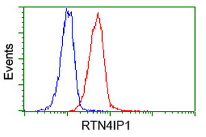 Flow cytometry of Jurkat cells, using anti-RTN4IP1 antibody (Red), compared to a nonspecific negative control antibody (Blue).