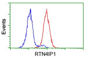 Flow cytometry of HeLa cells, using anti-RTN4IP1 antibody (Red), compared to a nonspecific negative control antibody (Blue).