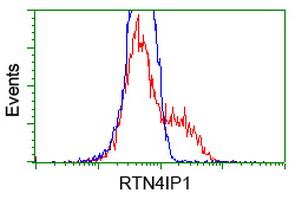 HEK293T cells transfected with either overexpress plasmid (Red) or empty vector control plasmid (Blue) were immunostained by anti-RTN4IP1 antibody, and then analyzed by flow cytometry.