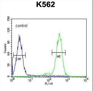 RTP4 Antibody flow cytometry of K562 cells (right histogram) compared to a negative control cell (left histogram). FITC-conjugated goat-anti-rabbit secondary antibodies were used for the analysis.