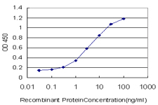 Detection limit for recombinant GST tagged RUNX1T1 is approximately 0.3 ng/ml as a capture antibody.