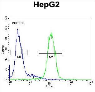 S100Z Antibody flow cytometry of HepG2 cells (right histogram) compared to a negative control cell (left histogram). FITC-conjugated goat-anti-rabbit secondary antibodies were used for the analysis.