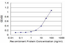 Detection limit for recombinant GST tagged PRODH is approximately 1 ng/ml as a capture antibody.