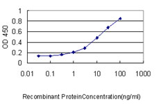 Detection limit for recombinant GST tagged SCGB1A1 is approximately 0.3 ng/ml as a capture antibody.