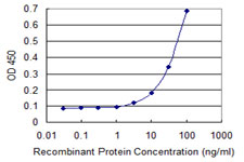 Detection limit for recombinant GST tagged SCNN1G is 1 ng/ml as a capture antibody.