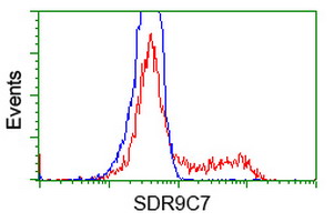 HEK293T cells transfected with either overexpress plasmid (Red) or empty vector control plasmid (Blue) were immunostained by anti-SDR9C7 antibody, and then analyzed by flow cytometry.