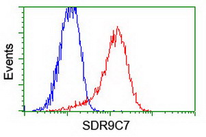 HEK293T cells transfected with either overexpress plasmid (Red) or empty vector control plasmid (Blue) were immunostained by anti-SDR9C7 antibody, and then analyzed by flow cytometry.