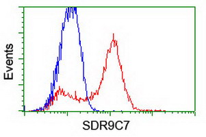 HEK293T cells transfected with either overexpress plasmid (Red) or empty vector control plasmid (Blue) were immunostained by anti-SDR9C7 antibody, and then analyzed by flow cytometry.