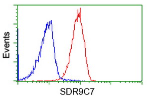 Flow cytometry of Jurkat cells, using anti-SDR9C7 antibody (Red), compared to a nonspecific negative control antibody (Blue).