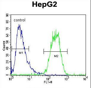 SEC13 Antibody flow cytometry of HepG2 cells (right histogram) compared to a negative control cell (left histogram). FITC-conjugated goat-anti-rabbit secondary antibodies were used for the analysis.