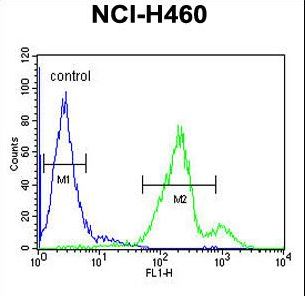 SC31B Antibody flow cytometry of NCI-H460 cells (right histogram) compared to a negative control cell (left histogram). FITC-conjugated goat-anti-rabbit secondary antibodies were used for the analysis.