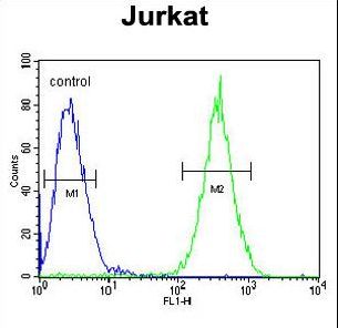 SELPLG Antibody flow cytometry of Jurkat cells (right histogram) compared to a negative control cell (left histogram). FITC-conjugated goat-anti-rabbit secondary antibodies were used for the analysis.