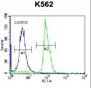 SEMA4C Antibody flow cytometry of K562 cells (right histogram) compared to a negative control cell (left histogram). FITC-conjugated donkey-anti-rabbit secondary antibodies were used for the analysis.