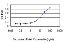 Detection limit for recombinant GST tagged PSMD10 is approximately 0.3 ng/ml as a capture antibody.