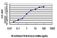 Detection limit for recombinant GST tagged SEPHS2 is approximately 0.03 ng/ml as a capture antibody.
