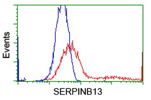 HEK293T cells transfected with either overexpress plasmid (Red) or empty vector control plasmid (Blue) were immunostained by anti-SERPINB13 antibody, and then analyzed by flow cytometry.