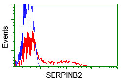HEK293T cells transfected with either overexpress plasmid (Red) or empty vector control plasmid (Blue) were immunostained by anti-SERPINB2 antibody, and then analyzed by flow cytometry.