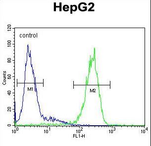 SERPINH1 Antibody flow cytometry of HepG2 cells (right histogram) compared to a negative control cell (left histogram). FITC-conjugated goat-anti-rabbit secondary antibodies were used for the analysis.