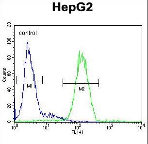 SERPINH1 Antibody flow cytometry of HepG2 cells (right histogram) compared to a negative control cell (left histogram). FITC-conjugated goat-anti-rabbit secondary antibodies were used for the analysis.