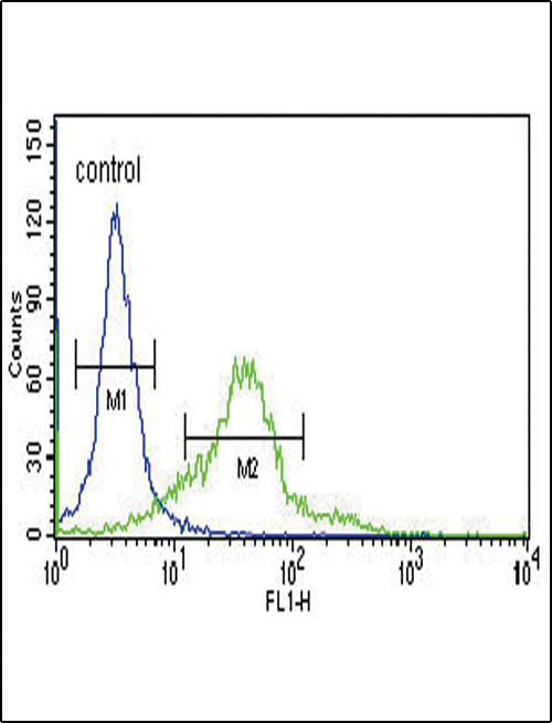 Sestrin-2 Antibody flow cytometry of 293 cells (right histogram) compared to a negative control cell (left histogram). FITC-conjugated goat-anti-rabbit secondary antibodies were used for the analysis.