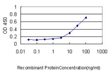 Detection limit for recombinant GST tagged SESN2 is approximately 0.3 ng/ml as a capture antibody.