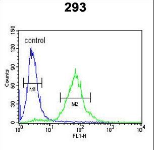 SETD8 Antibody flow cytometry of 293 cells (right histogram) compared to a negative control cell (left histogram). FITC-conjugated goat-anti-rabbit secondary antibodies were used for the analysis.