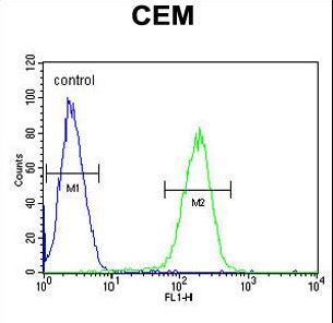 C10orf78 Antibody flow cytometry of CEM cells (right histogram) compared to a negative control cell (left histogram). FITC-conjugated goat-anti-rabbit secondary antibodies were used for the analysis.