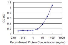 Detection limit for recombinant GST tagged SGCA is 1 ng/ml as a capture antibody.