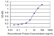 Detection limit for recombinant GST tagged SGCG is 0.1 ng/ml as a capture antibody.