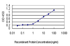 Detection limit for recombinant GST tagged SH2D4A is approximately 0.03 ng/ml as a capture antibody.