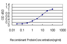Detection limit for recombinant GST tagged SH3BGRL is approximately 0.1 ng/ml as a capture antibody.