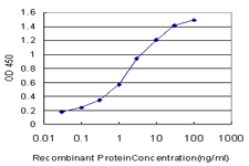 Detection limit for recombinant GST tagged SH3GL2 is approximately 0.1 ng/ml as a capture antibody.