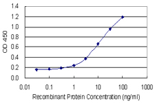 Detection limit for recombinant GST tagged SHMT2 is 0.1 ng/ml as a capture antibody.