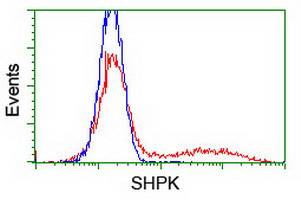 HEK293T cells transfected with either overexpress plasmid (Red) or empty vector control plasmid (Blue) were immunostained by anti-SHPK antibody, and then analyzed by flow cytometry.