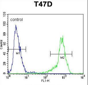 SIAH2 Antibody flow cytometry of T47D cells (right histogram) compared to a negative control cell (left histogram). FITC-conjugated goat-anti-rabbit secondary antibodies were used for the analysis.