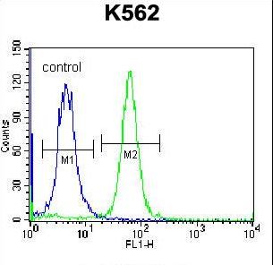 PSORS1C1 Antibody flow cytometry of K562 cells (right histogram) compared to a negative control cell (left histogram). FITC-conjugated donkey-anti-rabbit secondary antibodies were used for the analysis.