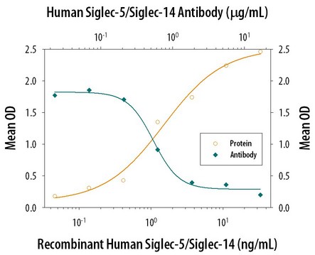 Cell Adhesion Mediated by Siglec-5 and Neutralization by Human Siglec-5/14 Antibody. Recombinant Human Siglec-5 Fc Chimera, immobilized onto a microplate, supports the adhesion of human red blood cells in a dose-dependent manner (orange line). Adhesion elicited by Recombinant Human Siglec-5 Fc Chimera (5 ug/ml) is neutralized (green line) by increasing concentrations of Human Siglec-5/14 Antigen Affinity-purified Polyclonal Antibody. The ND50 is typically 0.5-2.0 ug/ml.