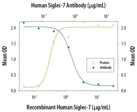 Cell Adhesion Mediated by Siglec-7 and Neutralization by Human Siglec-7 Antibody. Recombinant Human Siglec-7 Fc Chimera, immobilized onto a microplate, supports the adhesion of human red blood cells in a dose-dependent manner (orange line). Adhesion elicited by Recombinant Human Siglec-7 Fc Chimera (5 ug/ml) is neutralized (green line) by increasing concentrations of Goat Anti-Human Siglec-7 Antigen Affinity-purified Polyclonal Antibody. The ND50 is typically 0.3-0.9 ug/ml.