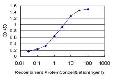 Detection limit for recombinant GST tagged SIM2 is approximately 0.03 ng/ml as a capture antibody.