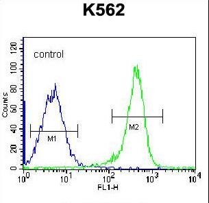 PSTPIP1 Antibody flow cytometry of K562 cells (right histogram) compared to a negative control cell (left histogram). FITC-conjugated goat-anti-rabbit secondary antibodies were used for the analysis.