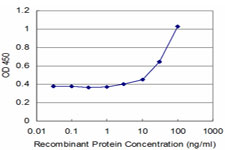 Detection limit for recombinant GST tagged SIX1 is approximately 3 ng/ml as a capture antibody.