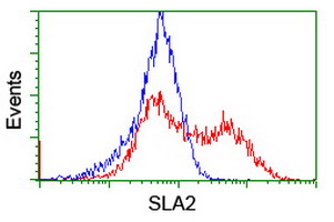 HEK293T cells transfected with either overexpress plasmid (Red) or empty vector control plasmid (Blue) were immunostained by anti-SLA2 antibody, and then analyzed by flow cytometry.