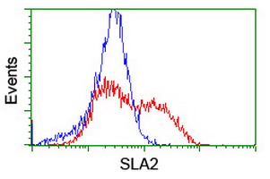 HEK293T cells transfected with either overexpress plasmid (Red) or empty vector control plasmid (Blue) were immunostained by anti-SLA2 antibody, and then analyzed by flow cytometry.