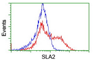 HEK293T cells transfected with either overexpress plasmid (Red) or empty vector control plasmid (Blue) were immunostained by anti-SLA2 antibody, and then analyzed by flow cytometry.
