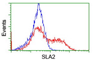 HEK293T cells transfected with either overexpress plasmid (Red) or empty vector control plasmid (Blue) were immunostained by anti-SLA2 antibody, and then analyzed by flow cytometry.