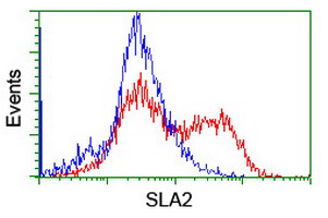 HEK293T cells transfected with either overexpress plasmid (Red) or empty vector control plasmid (Blue) were immunostained by anti-SLA2 antibody, and then analyzed by flow cytometry.