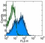 Staining of BALB/c splenocytes with 0.25 ug of Purified Mouse IgG2a, K isotype control (open histogram) or 0.25 ug of Purified anti-mouse Ly108 (13G3-19D) (colored histogram) followed by Biotin Anti-Mouse IgG2a and SAv-PE. Cells in the lymphocyte gate were used for analysis.