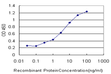 Detection limit for recombinant GST tagged SLC15A1 is approximately 0.1 ng/ml as a capture antibody.